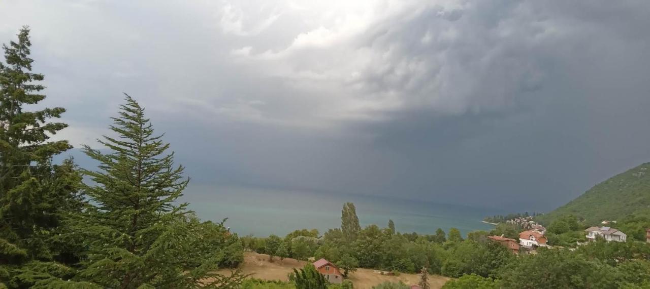 Villa Karolina אוהריד מראה חיצוני תמונה