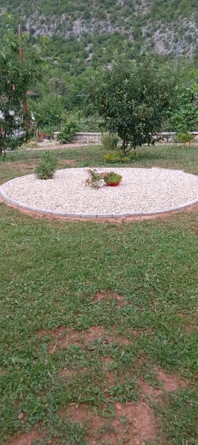 Villa Karolina אוהריד מראה חיצוני תמונה